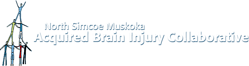 North Simcoe Muskoka Acquired Brain Injury (ABI) Collaborative