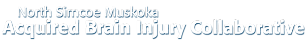 North Simcoe Muskoka Acquired Brain Injury Collaborative