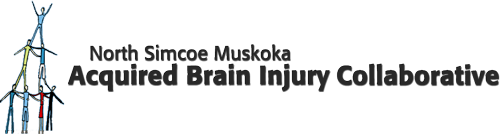 North Simcoe Muskoka Acquired Brain Injury Collaborative